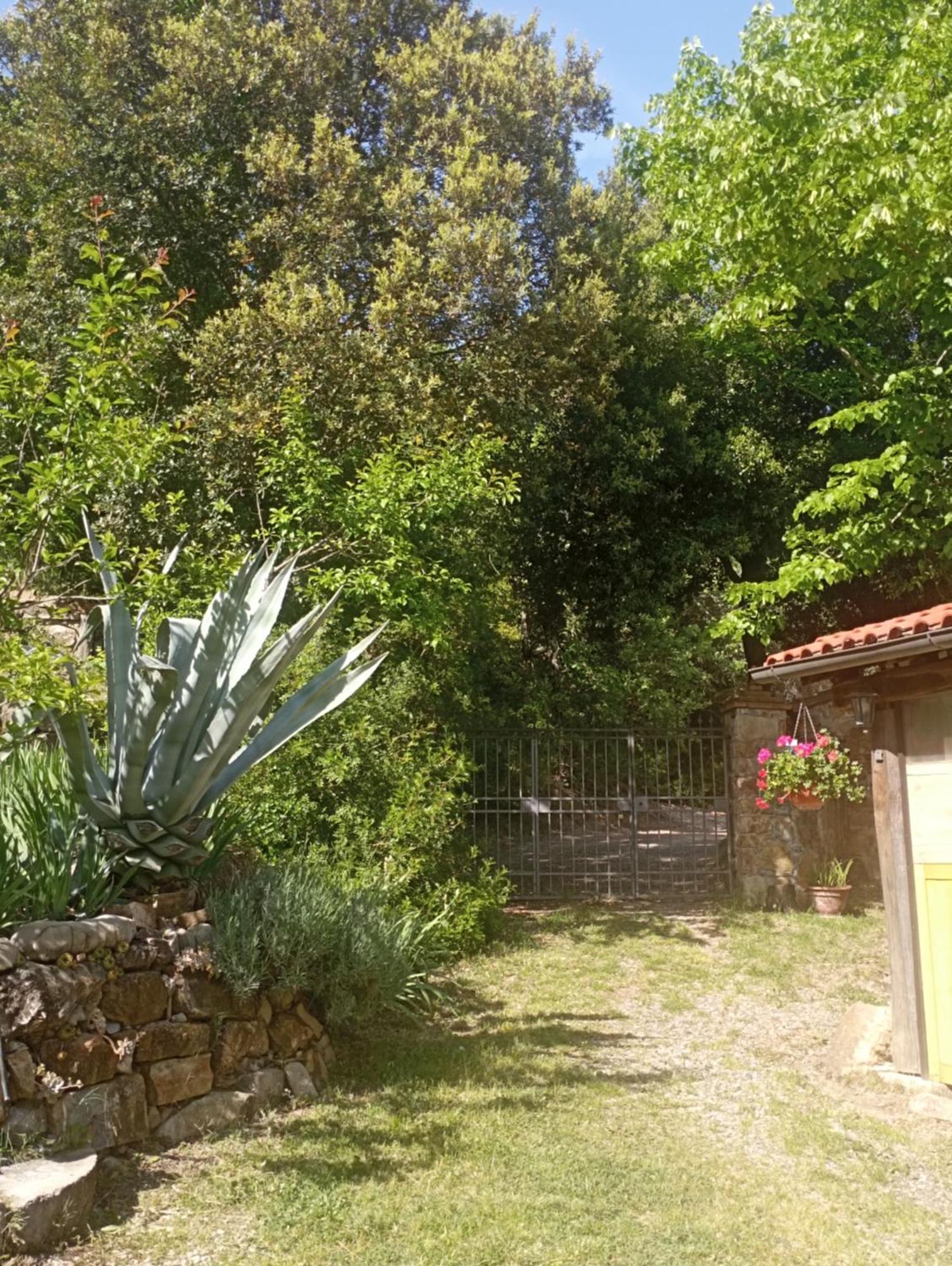 Hostal Casa Marju Montemassi Exterior foto